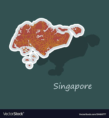 Map of singapore vector image