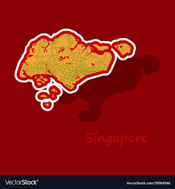 Map of singapore vector image