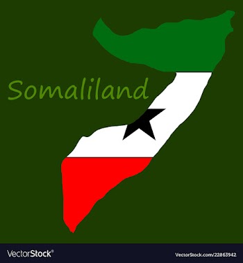 Map of somaliland with flag vector image