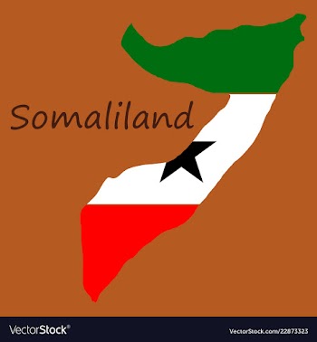 Map of somaliland with flag vector image