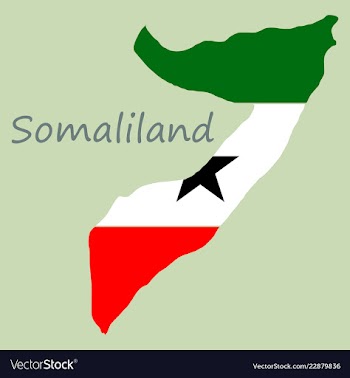 Map of somaliland with flag vector image