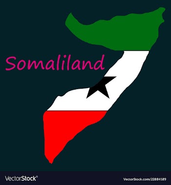 Map of somaliland with flag vector image