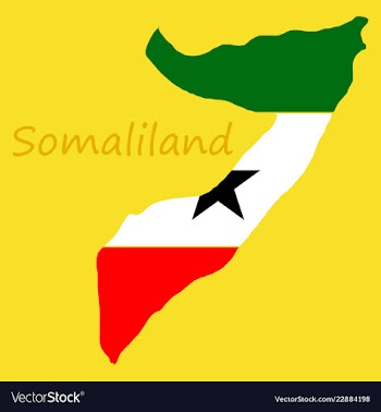 Map of somaliland with flag vector image
