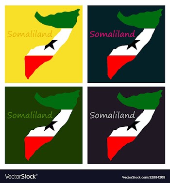 Map of somaliland with flag vector image