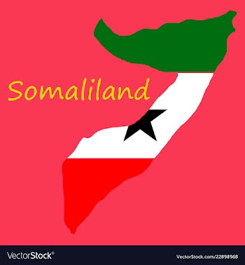 Map of somaliland with flag vector image