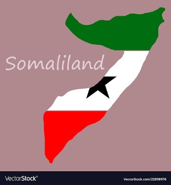 Map of somaliland with flag vector image