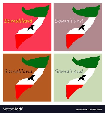 Map of somaliland with flag vector image
