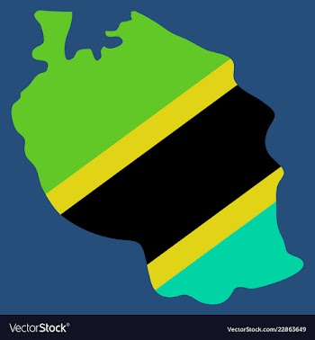 Map of the flag of the tanzania vector image