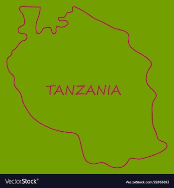 Map of the flag of the tanzania vector image