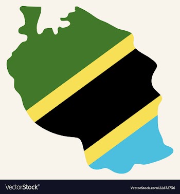 Map of the flag of the tanzania vector image
