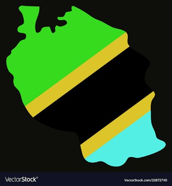 Map of the flag of the tanzania vector image