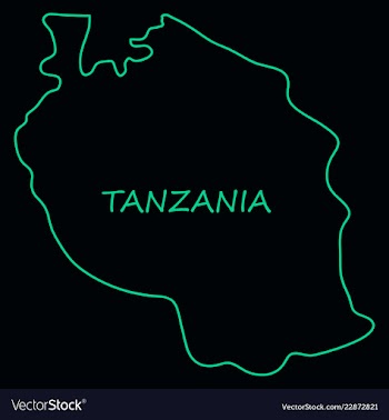 Map of the flag of the tanzania vector image