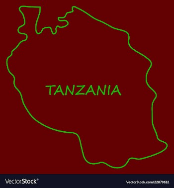 Map of the flag of the tanzania vector image