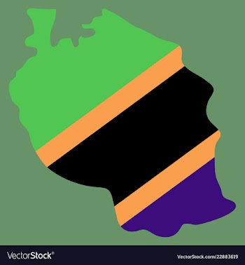 Map of the flag of the tanzania vector image