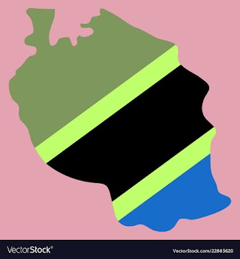 Map of the flag of the tanzania vector image