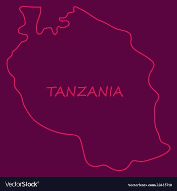 Map of the flag of the tanzania vector image
