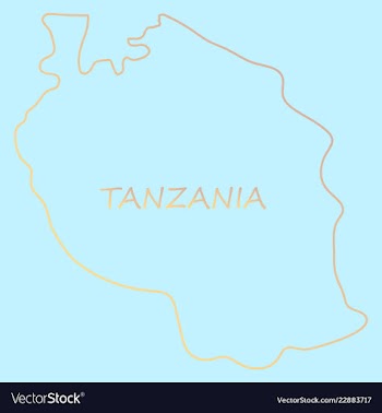Map of the flag of the tanzania vector image
