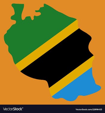 Map of the flag of the tanzania vector image
