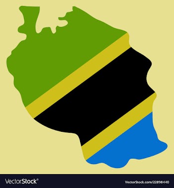 Map of the flag of the tanzania vector image