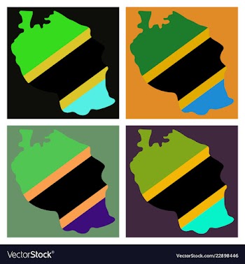 Map of the flag of the tanzania vector image