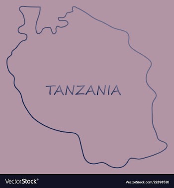 Map of the flag of the tanzania vector image