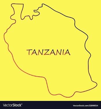 Map of the flag of the tanzania vector image