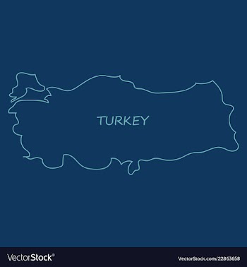 Map of turkey filled with flag of the state vector image