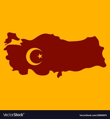 Map of turkey filled with flag of the state vector image