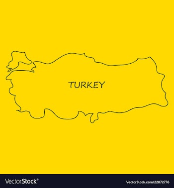 Map of turkey filled with flag of the state vector image