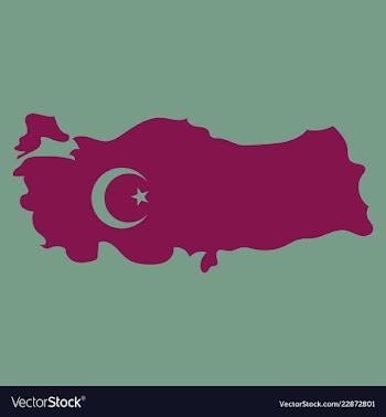 Map of turkey filled with flag of the state vector image