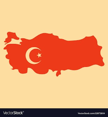 Map of turkey filled with flag of the state vector image