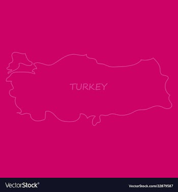 Map of turkey filled with flag of the state vector image