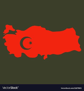 Map of turkey filled with flag of the state vector image