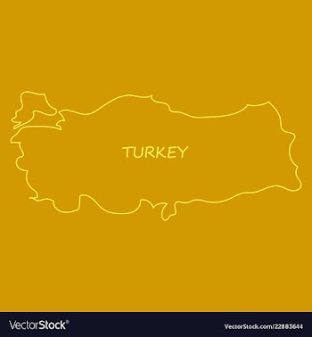 Map of turkey filled with flag of the state vector image