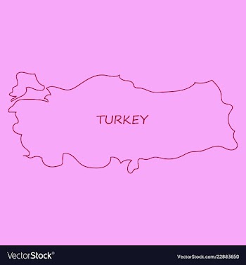 Map of turkey filled with flag of the state vector image