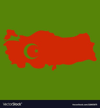 Map of turkey filled with flag of the state vector image