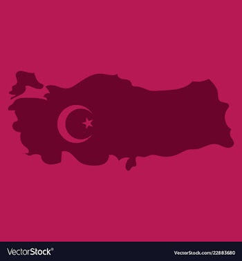 Map of turkey filled with flag of the state vector image