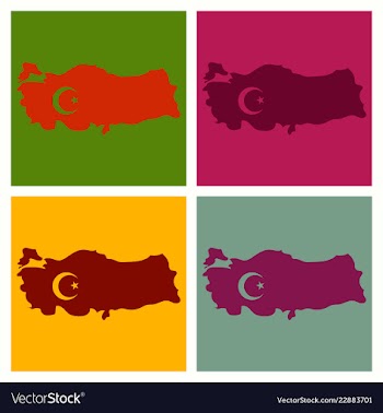Map of turkey filled with flag of the state vector image