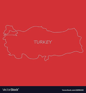 Map of turkey filled with flag of the state vector image