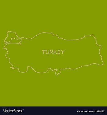 Map of turkey filled with flag of the state vector image