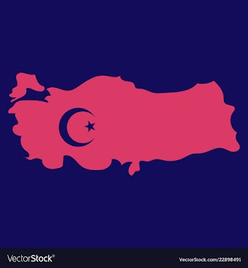 Map of turkey filled with flag of the state vector image