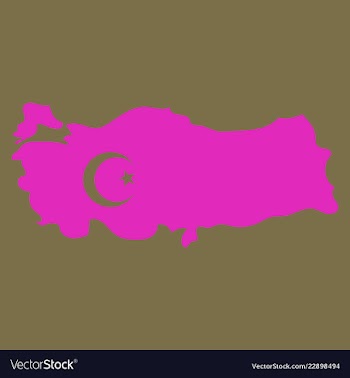 Map of turkey filled with flag of the state vector image