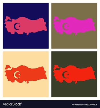 Map of turkey filled with flag of the state vector image