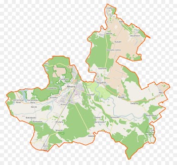 Map, Openstreetmap, Mosina, World PNG
