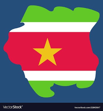 Map outline and flag of suriname a horizontal vector image