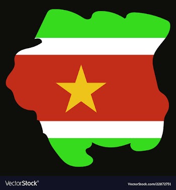 Map outline and flag of suriname a horizontal vector image