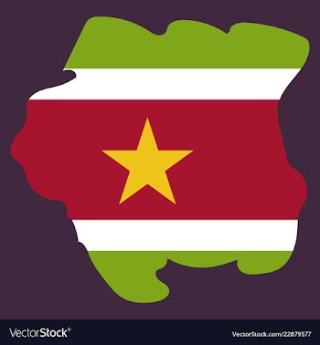 Map outline and flag of suriname a horizontal vector image