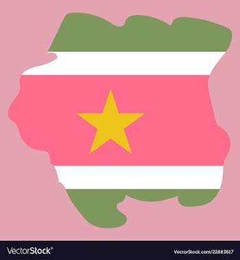 Map outline and flag of suriname a horizontal vector image