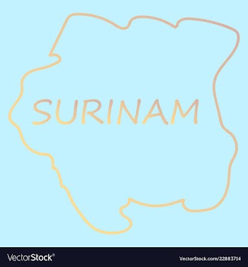 Map outline and flag of suriname a horizontal vector image