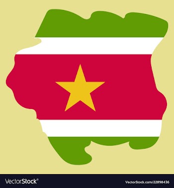 Map outline and flag of suriname a horizontal vector image